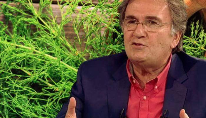 İbrahim Saraçoğlu Japonların en sevdiği bitkiyi açıkladı! Kalp sağlığını koruyor, sperm sayısını artırıyor
