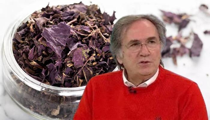 Omega-3 deposu! Prof. Dr. İbrahim Saraçoğlu’ndan zihinsel performansı artırıcı bitki: “10 dakikada farkı hissediyorsunuz”