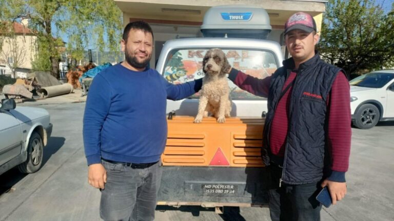 Uşak’ta kaybolan trüf mantarı avcısı ‘Radar’ bulundu