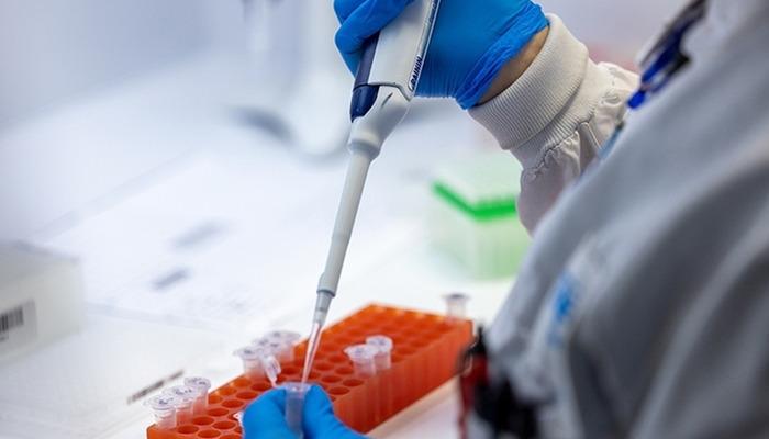 Avrupa’da Maymun çiçeği alarmı! Risk düşük ancak ‘hazırlıklı olun’ uyarısı geldi