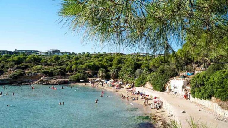 Ekmeksiz Plajı nerede ve nasıl gidilir? Ekmeksiz plajı kapalı mı yoksa kamp alanı var mı?