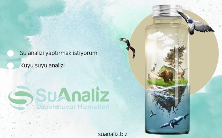 Su Analizi Yaptırmak İstiyorum – Nereden Başlamalıyım?