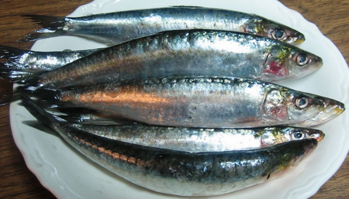 Bu balığın değerini bilen çok az şey! Sürpriz Faydaları: Kalp, Kanser, Diyabet …