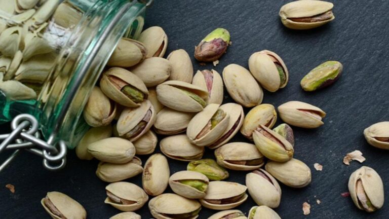 Antep Fıstığı Nasıl Yetişir? Türkiyede En İyi Nerede Yetişir?